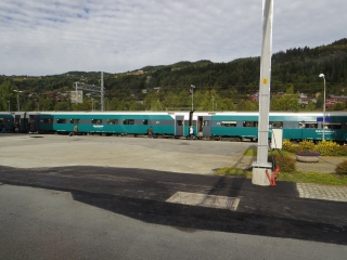 IMGP4439